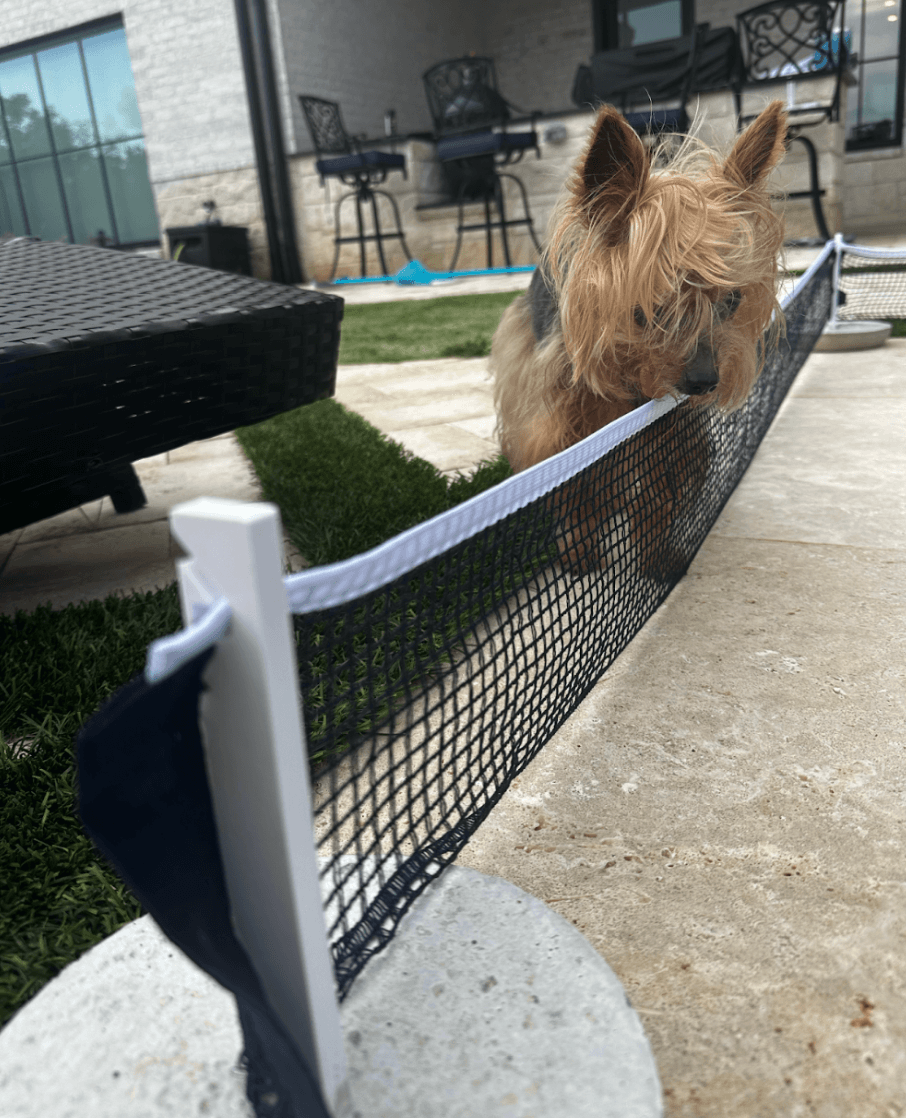 Net Fastening Commision 2